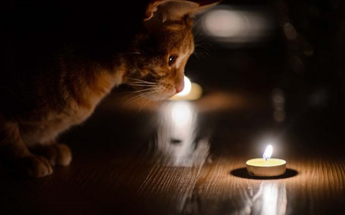 В Одесі оголосили оновлені графіки відключень світла на 27 листопада