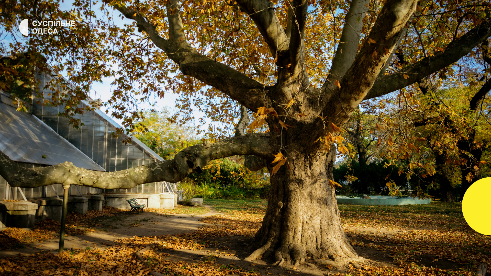 В Одесі температура підніметься до +18 завдяки антициклону “Urmi”
