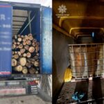 Патрульні Одеси виявили підозрілі вантажі деревини та дизельного пального