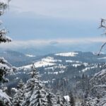 Сьогодні в Україні сніг покрив Карпати, Буковель та інші області після зниження температури — фото та відео