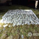 В Одеській області браконьєр завдав шкоди державі на суму понад 8 мільйонів гривень