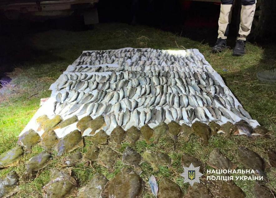 В Одеській області браконьєр завдав шкоди державі на суму понад 8 мільйонів гривень