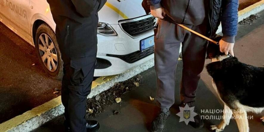 В Одесі відкрили кримінальне провадження проти чоловіка, який тягав собаку за хвіст і бив її палицею
