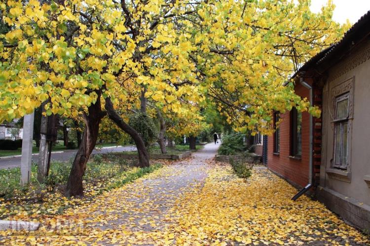 Осінній поцілунок Болграда: фотографічна мандрівка по містевих оазах