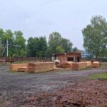 Депутат замішаний у контрабанді: сосну вивозили з Одещини за кордон, – ФОТО