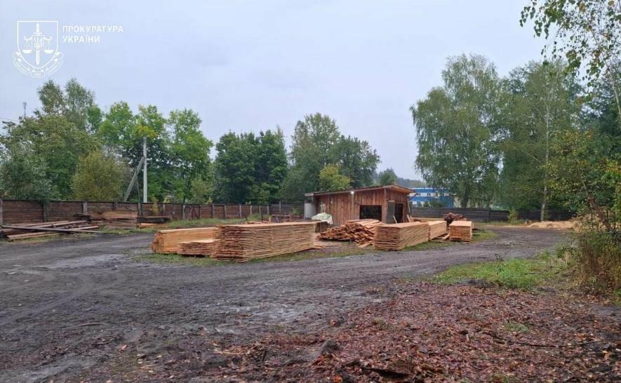 Депутат замішаний у контрабанді: сосну вивозили з Одещини за кордон, – ФОТО