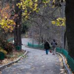 Похмура погода в Україні 13 листопада: прогноз Діденко на сьогодні