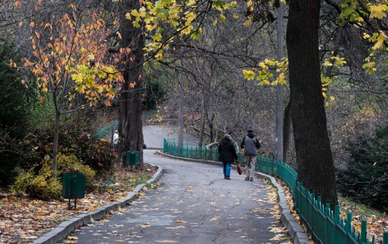 Похмура погода в Україні 13 листопада: прогноз Діденко на сьогодні