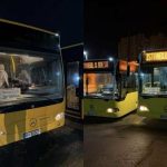 У муніципальних автобусах Одеси вводять безплатний проїзд — що відомо, фото