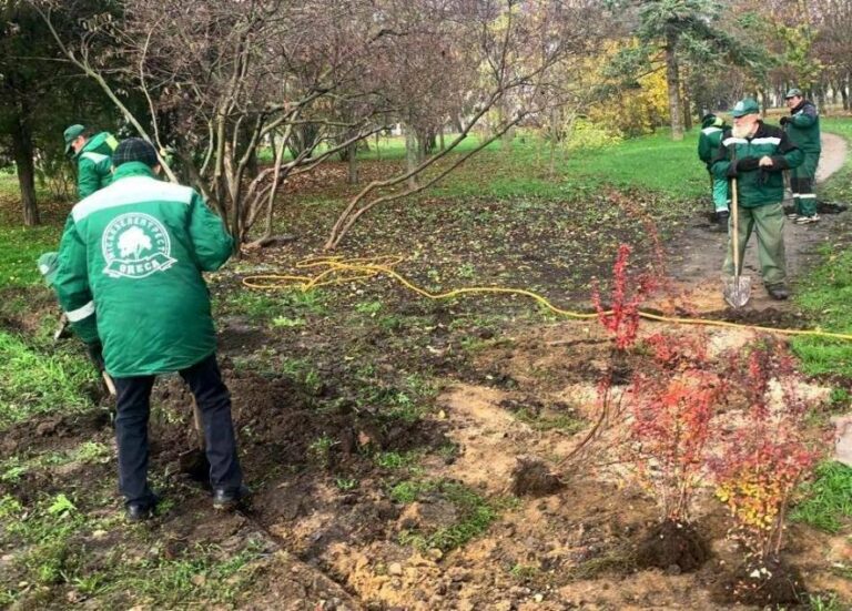 У дендропарку Одеси з’явилося 26 нових дерев і 90 плющів, – ФОТО