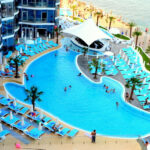 Одеський дельфінарій опинився під арештом через заборгованість перед містом