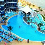 Одеський дельфінарій опинився під арештом через боргові зобов’язання перед містом