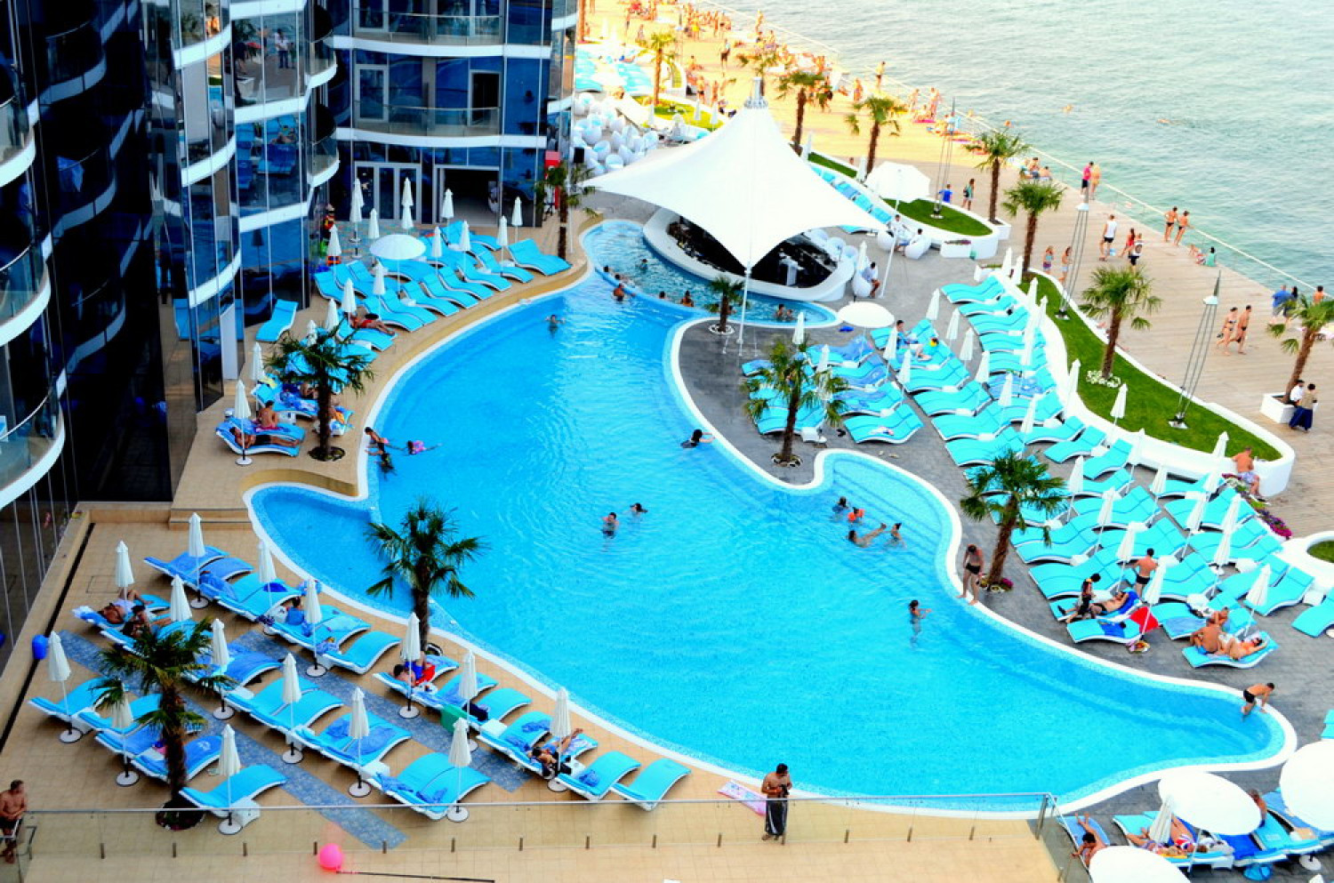 Одеський дельфінарій опинився під арештом через заборгованість перед містом