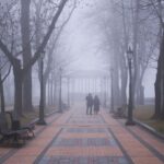 Погода в Україні 2 листопада: щільний туман охопить територію країни