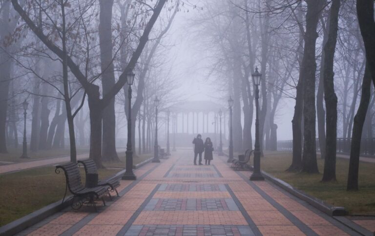 Погода в Україні 2 листопада: щільний туман охопить територію країни