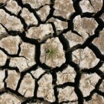 Іран впроваджує наукові підходи для подолання проблеми посухи