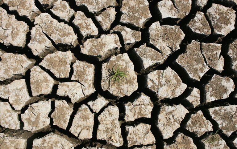 Іран впроваджує наукові підходи для подолання проблеми посухи