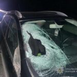 Фатальна аварія на трасі Одеса-Київ: авто Renault наїхало на 32-річну жінку, що перебігала дорогу вночі