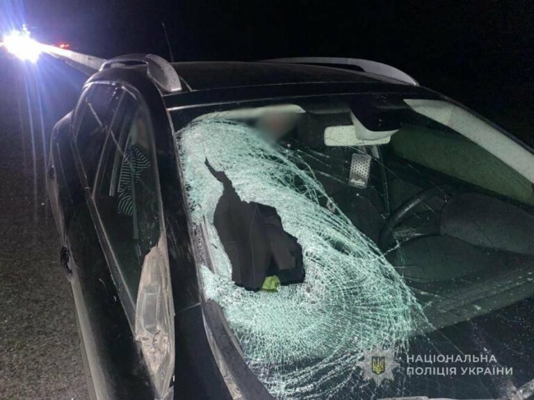 Фатальна аварія на трасі Одеса-Київ: авто Renault наїхало на 32-річну жінку, що перебігала дорогу вночі