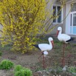 В Ізмаїлі хочуть дати нову назву будинку дитини