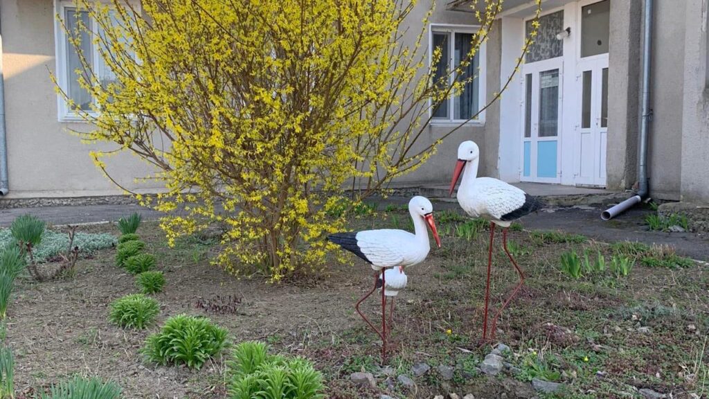 В Ізмаїлі хочуть дати нову назву будинку дитини