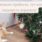 Одеський гумор: коти на ялинці, нерви на межі, а настрій — у мемах