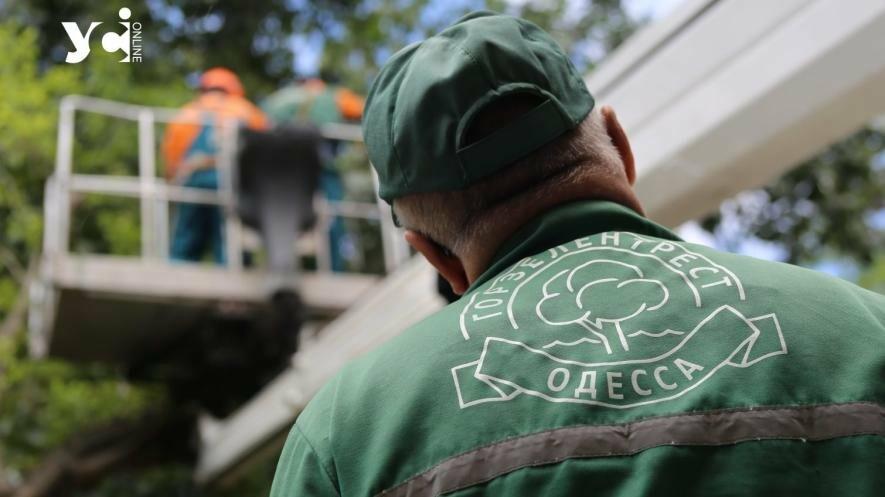 Жорсткіший «зелений контроль» в Одесі — інспектори задокументували сотні порушень