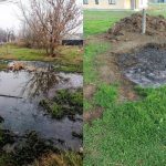 Екологи в Одеській області виявили небезпечні забруднення — шокуючі фото