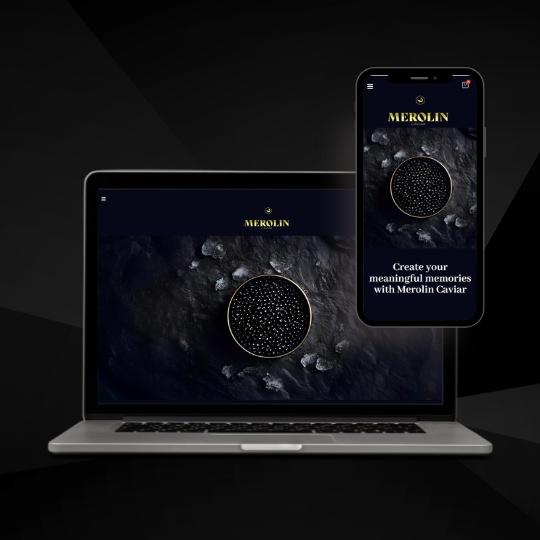 Ваш бізнес в онлайні: як обрати формат сайту та зрозуміти ціноутворення веб-студій