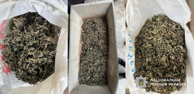 На Болградщині виявили чоловіка з великими запасами наркотиків у власному помешканні