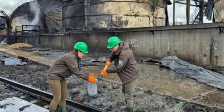 Обстріл порту «Південний» обрушив ціни на соняшник і вдарив по гаманцях Одещини
