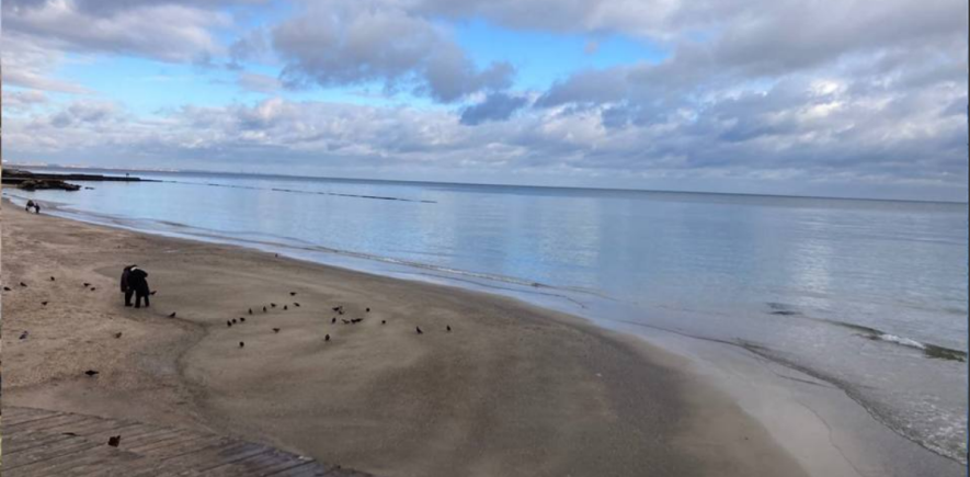 Огляд пляжів Одеси станом на 29 грудня у фотографіях