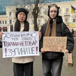 Після загибелі двох кошенят в Одесі перевіряють котяче кафе, яке здає тварин в оренду