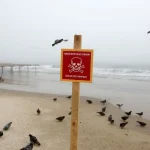 Узбережжя Одеси після буревію виявило морську міну