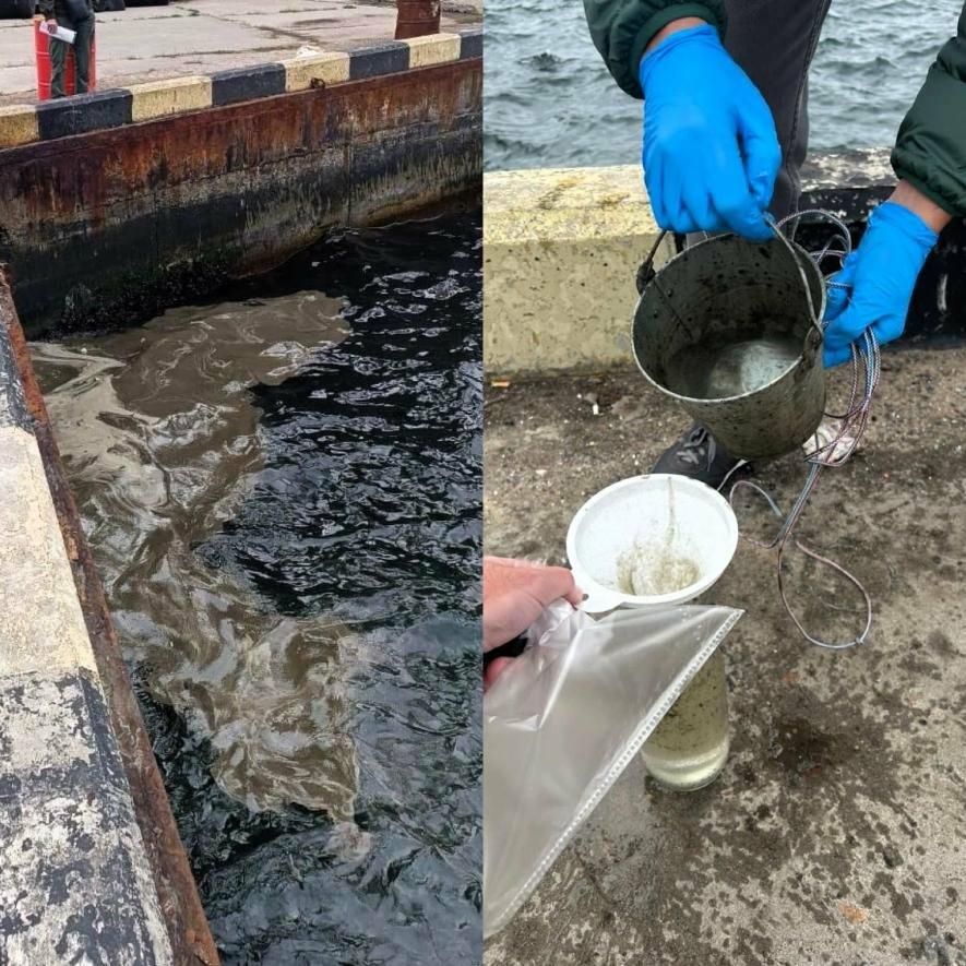 Мільярдні збитки: російське вторгнення спричинило екокатастрофу на Одещині — ФОТО