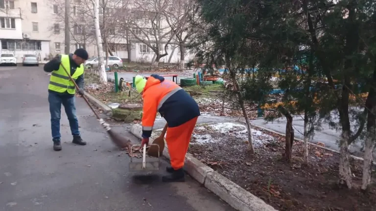 В Одесі штрафують за бруд у дворах і на газонах — як працює система контролю
