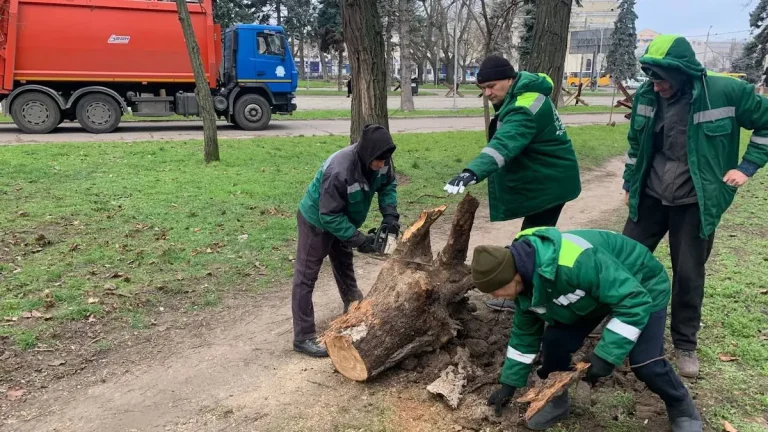 Шквальний вітер в Одесі паралізував частину міста та повалив дерева