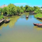 У Вилковому звинувачують місцевих у доведенні єриків до занепаду