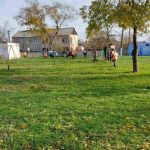 У Кілійському міському парку висадили алею молодих кленів