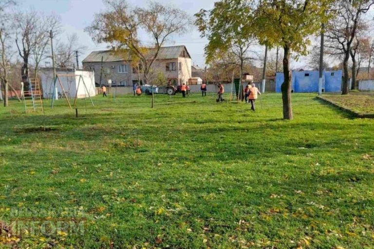 У Кілійському міському парку висадили алею молодих кленів