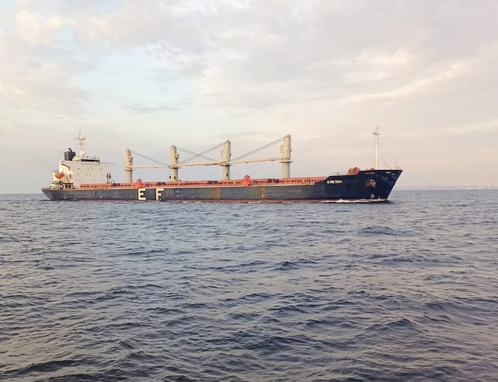 Морський коридор біля Одеси знову під обстрілом: Росія атакувала торгові судна