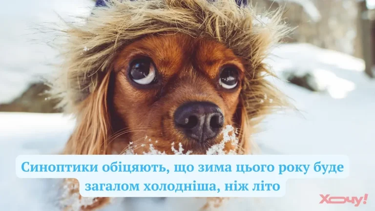 Перший понеділок року по-одеськи: сміх замість стресу