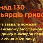 Шахедна атака спричинила пожежі з мільярдними збитками для екосистеми Дунайського біосферного заповідника