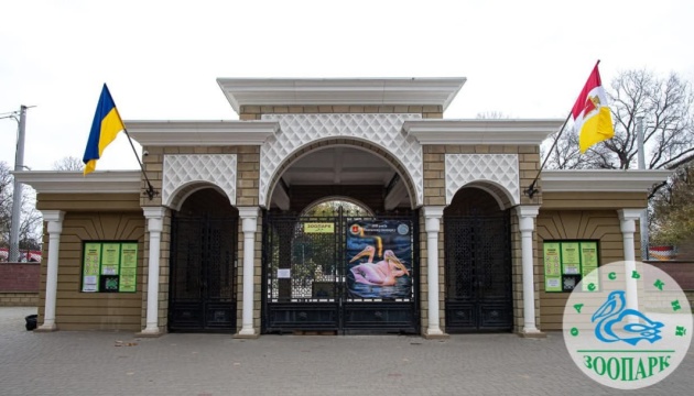 Адміністрація Одеського зоопарку звинувачує зоозахисників у тиску, що спричинив арешт майна
