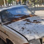 В Одесі оприлюднили адреси покинутих авто, які можуть примусово вивезти