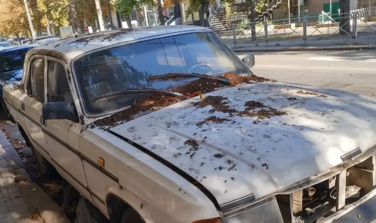 В Одесі оприлюднили адреси покинутих авто, які можуть примусово вивезти