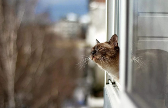 В Одещині очікується потепління — синоптики назвали прогноз