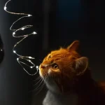 Коли вимикатимуть світло в Одесі та області 23 січня — графіки відключень електроенергії