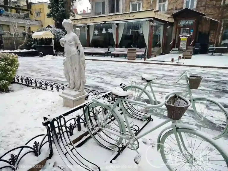 Сніжна казка в серці Одеси: Міський сад у білій обнові (фоторепортаж)