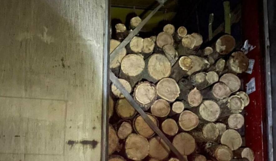 Патрульні на Одещині викрили підроблені документи та великі обсяги деревини